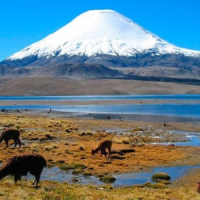 Aguada Blanca National Reserve